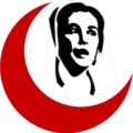 Shaheed Mohtarma Benazir Bhutto Institute of Trauma (SMBBIT)